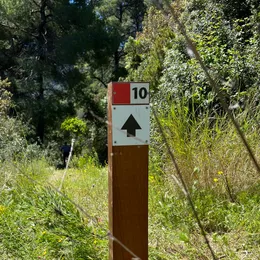 Signposts with direction and trail number