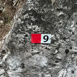 Trail markers